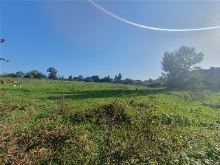 RAYO Polígono 25. Parcela 3