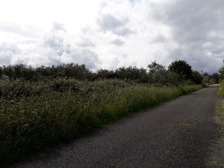 PENA CORVEIRA Polígono 507 Parcela 5