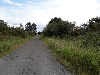 PENA CORVEIRA Polígono 507 Parcela 6