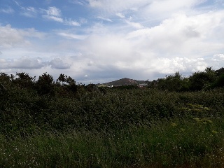 PENA CORVEIRA Polígono 507 Parcela 10