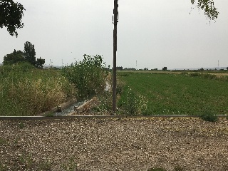 PARAJE ALBARES BAJOS. POLÍGONO 4, PARCELA 5