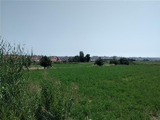 PARAJE ALBARES BAJOS. POLÍGONO 4, PARCELA 6