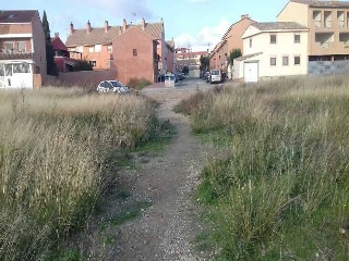 PARAJE ALBARES BAJOS. POLÍGONO 4, PARCELA 8