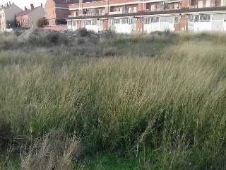 PARAJE ALBARES BAJOS. POLÍGONO 4, PARCELA 9
