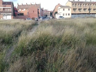 PARAJE ALBARES BAJOS. POLÍGONO 4, PARCELA 10