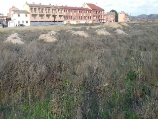 PARAJE ALBARES BAJOS. POLÍGONO 4, PARCELA 11