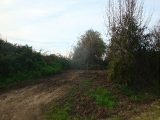 DEL COTARON. Polígono 103 Parcela 2