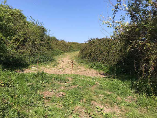 DEL COTARON. Polígono 103 Parcela 4