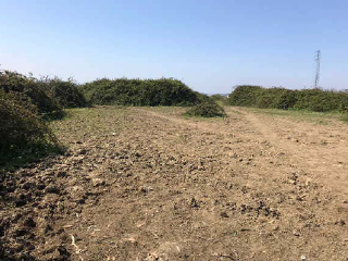 DEL COTARON. Polígono 103 Parcela 5