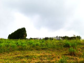 de la Coria a Santurio. Polígono 100 Parcela 2