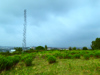 de la Coria a Santurio. Polígono 100 Parcela 4