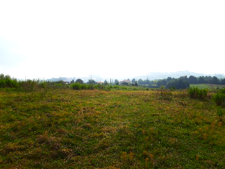 de la Coria a Santurio. Polígono 100 Parcela 7