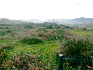 de la Coria a Santurio. Polígono 100 Parcela 8