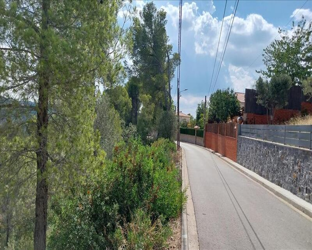 OCELLS DELS