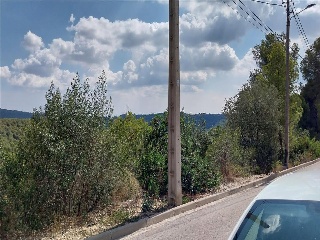 P.P.O CAMI DELS OCELLS 4