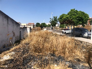 Camino Viejo de Mirandilla 4