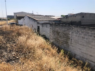 Camino Viejo de Mirandilla 5