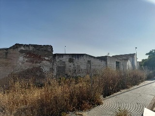 Camino Vieja de Mirandilla 5