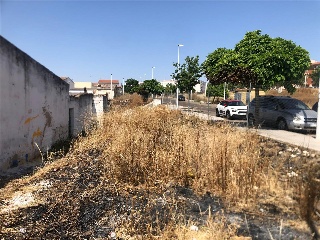 Camino Viejo de Mirandilla 3