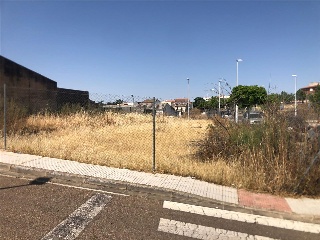 Camino Viejo de Mirandilla 4