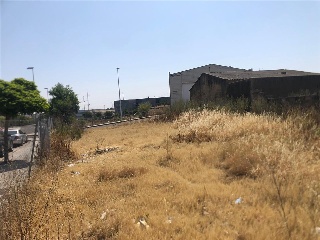 Camino Viejo de Mirandilla 5