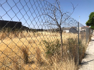 Camino Viejo de Mirandilla 6