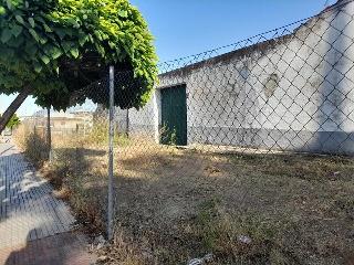 Camino Viejo de Mirandilla 2