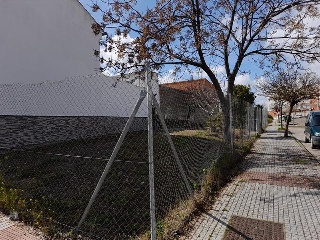 Camino Viejo de Mirandilla 5