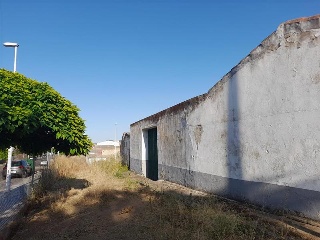 Camino Viejo de Mirandilla 2