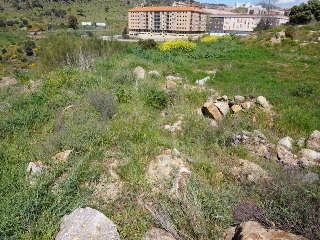 avenida Salamanca 15