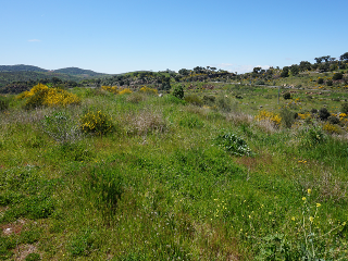 avenida Salamanca 16