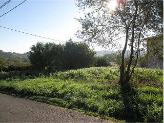 LA LLORAL, POLIGONO 47, PARCELA 4