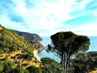 Pisos banco Santa Cristina d'Aro