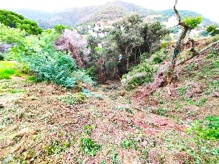 ROSAMAR (PARCELAS 104, 139, 140, 352, 354 Y 355) 5