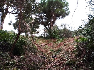 ROSAMAR (PARCELAS 104, 139, 140, 352, 354 Y 355) 9