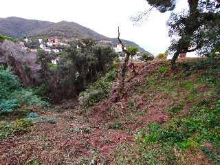 ROSAMAR (PARCELAS 104, 139, 140, 352, 354 Y 355) 10