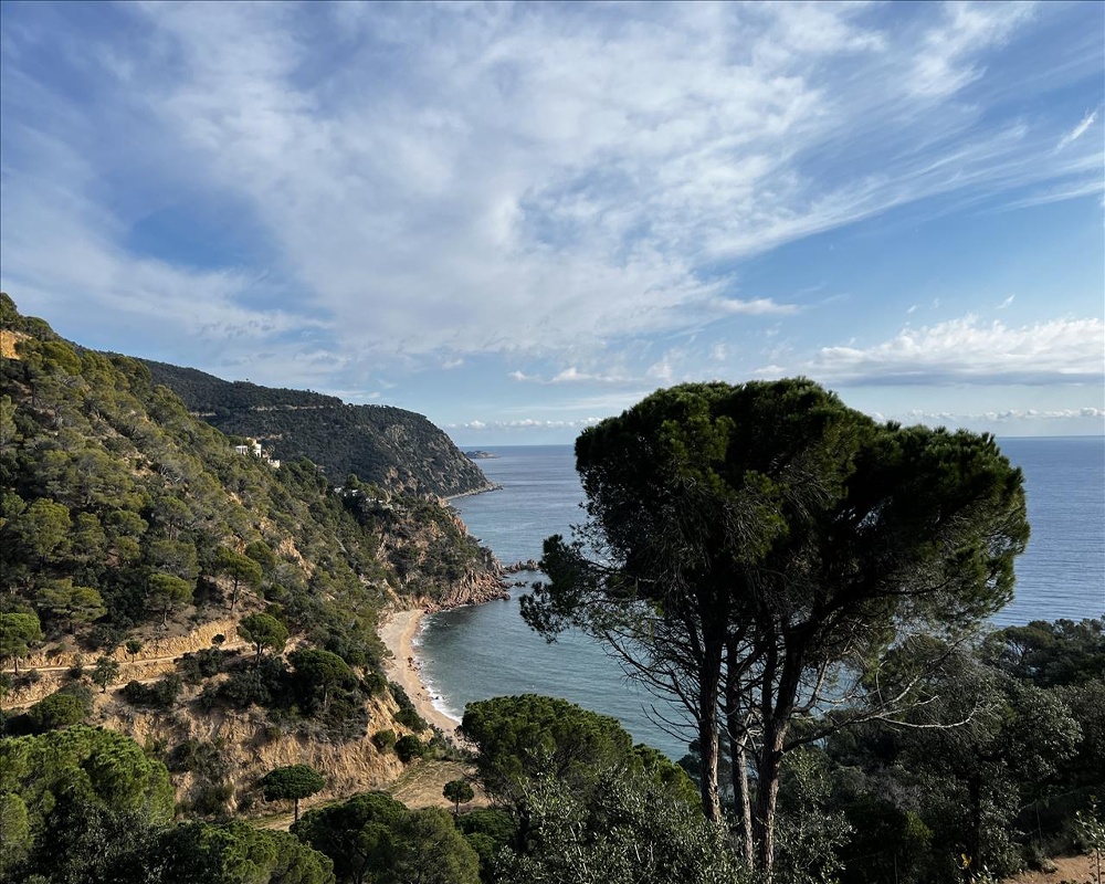 ROSAMAR (PARCELAS 126 A 128, 308 A 310 Y 322 A 324)