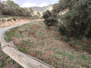 ROSAMAR (PARCELAS 126 A 128, 308 A 310 Y 322 A 324) 3