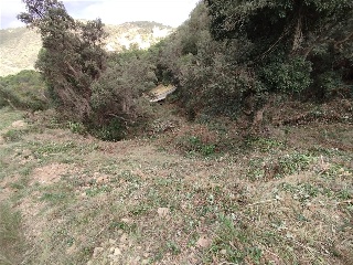 ROSAMAR (PARCELAS 126 A 128, 308 A 310 Y 322 A 324) 4