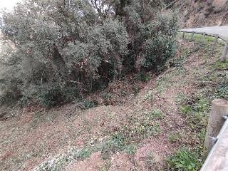 ROSAMAR (PARCELAS 126 A 128, 308 A 310 Y 322 A 324) 5