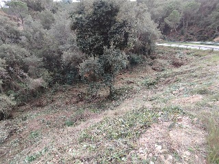 ROSAMAR (PARCELAS 126 A 128, 308 A 310 Y 322 A 324) 6