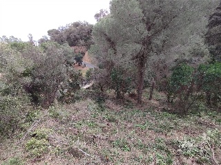 ROSAMAR (PARCELAS 126 A 128, 308 A 310 Y 322 A 324) 7