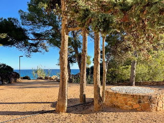 ROSAMAR (PARCELAS 126 A 128, 308 A 310 Y 322 A 324) 11