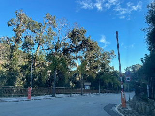 ROSAMAR (PARCELAS 126 A 128, 308 A 310 Y 322 A 324) 12