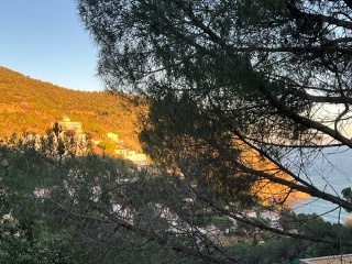 ROSAMAR (PARCELAS A Y B) 3