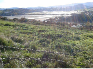 EN SANTILLÁN-BORIA, SITIO LA ROMERONA 5