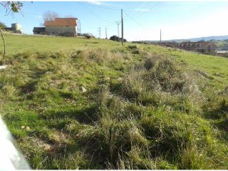 EN SANTILLÁN-BORIA, SITIO LA ROMERONA 6