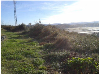 EN SANTILLÁN-BORIA, SITIO LA ROMERONA 7