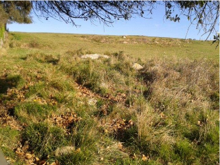 EN SANTILLÁN-BORIA, SITIO LA ROMERONA 8