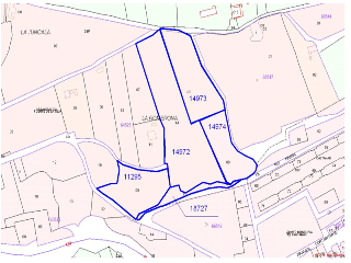 EN SANTILLÁN-BORIA, SITIO LA ROMERONA 13